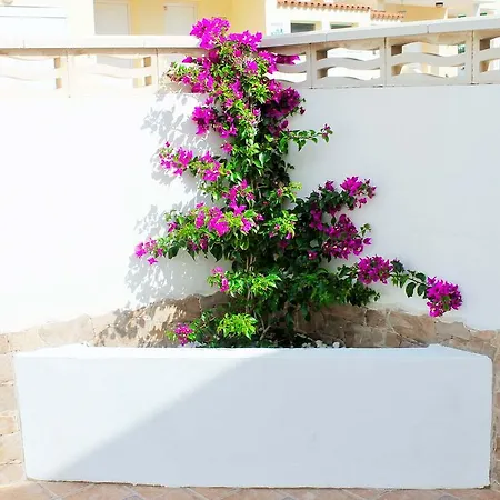 Neptuno By Vacanzy Collection *